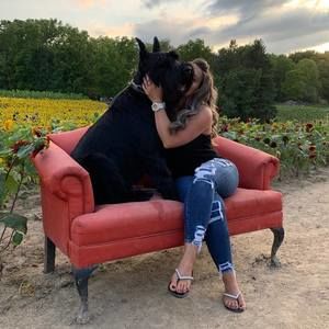 Meet your Posher, Alexis